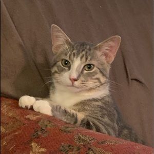 Meet your Posher, Cheryl